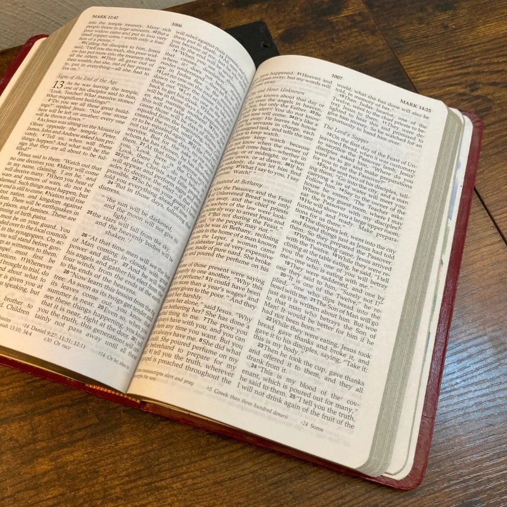 NIV Holy Bible 1998 International Bible Society Red Leatherette Vintage Edition